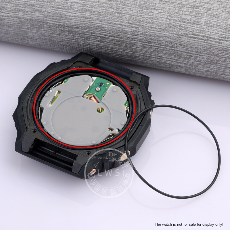 Junta de anillo antipolvo DW56 - Casio Watch G-Shock Ga-2100 reseña y precio