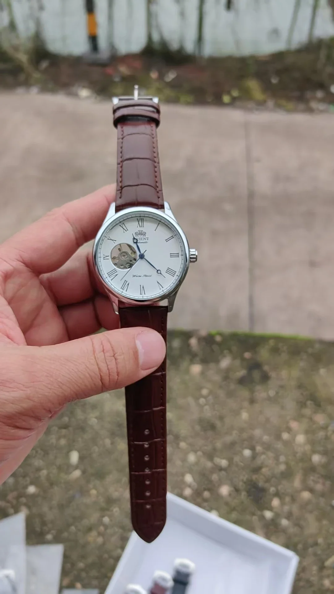 Reloj Mecánico de Esqueleto DF - Seiko Watch Presage reseña y precio